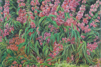 Иван-чай. 1969